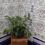 Hermoso En Conil 아파트 *