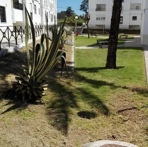 Hermoso En Conil Apartment