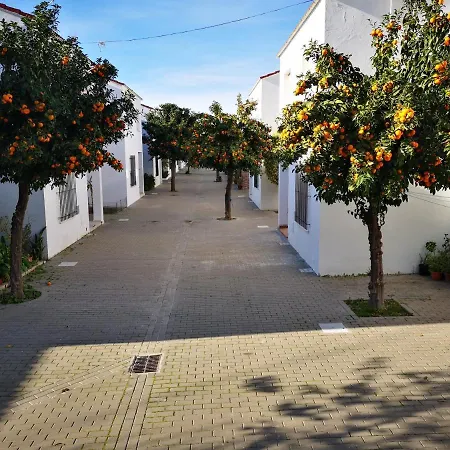Hermoso En Conil *