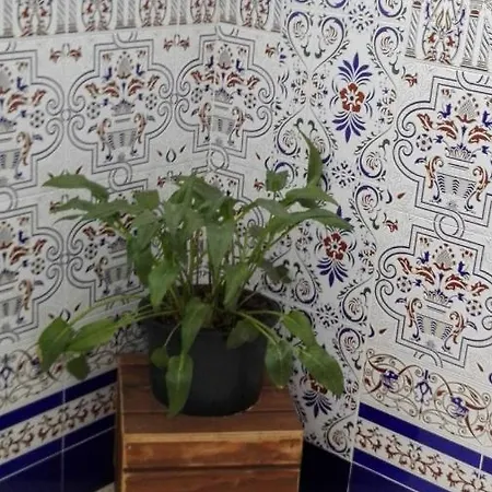 Hermoso En Conil Apartmán *
