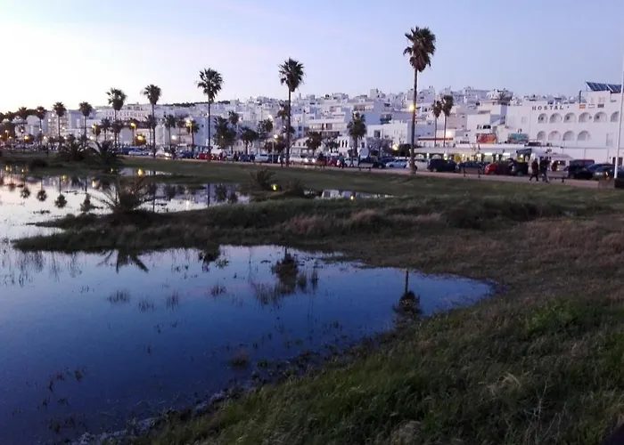 Hermoso En Conil Conil De La Frontera